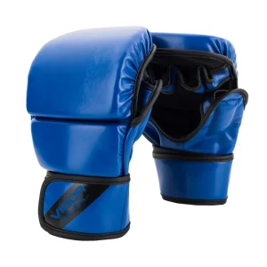 Sparring Gloves
